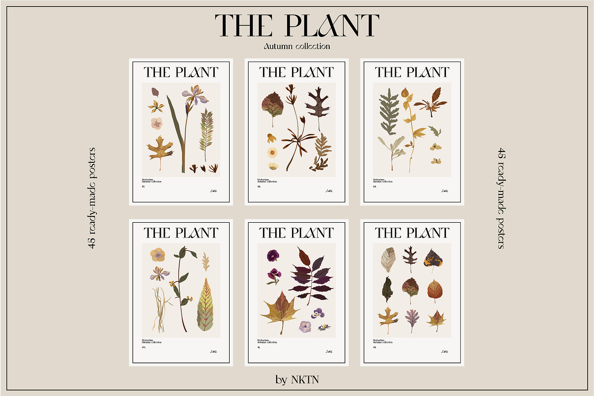 The PLANT. Autumn collection, a Pattern Graphic by NKTN (Photo 11 of 18)