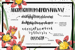 Asparagus - Whimsical Brush Font