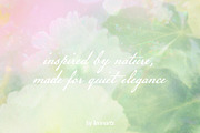 Botanica – Soft Floral Backgrounds, a Background Graphic by lerinartstudio (Thumbnail 13 of 13)