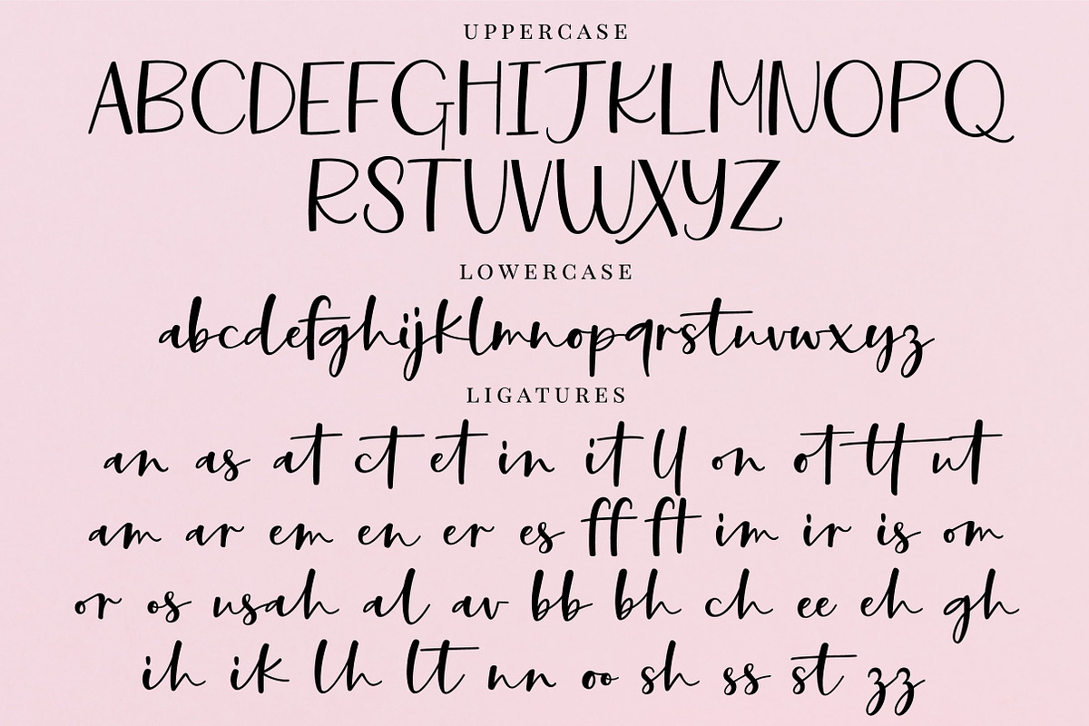 Manifestations Script Font, a Script Font by theinkaffair (Photo 8 of 11)