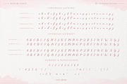 Rixiline Script Font, a Script Font by Barland Design (Thumbnail 6 of 7)