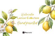 Watercolor Lemons Clipart & Pattern, an Object Graphic by crafty (Thumbnail 1 of 15)