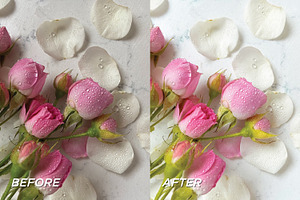 20 Spring LR Presets Video Filters