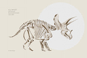 Dinosaur Skeletons Clip Art, an Illustration by Alena Sid (Thumbnail 5 of 13)