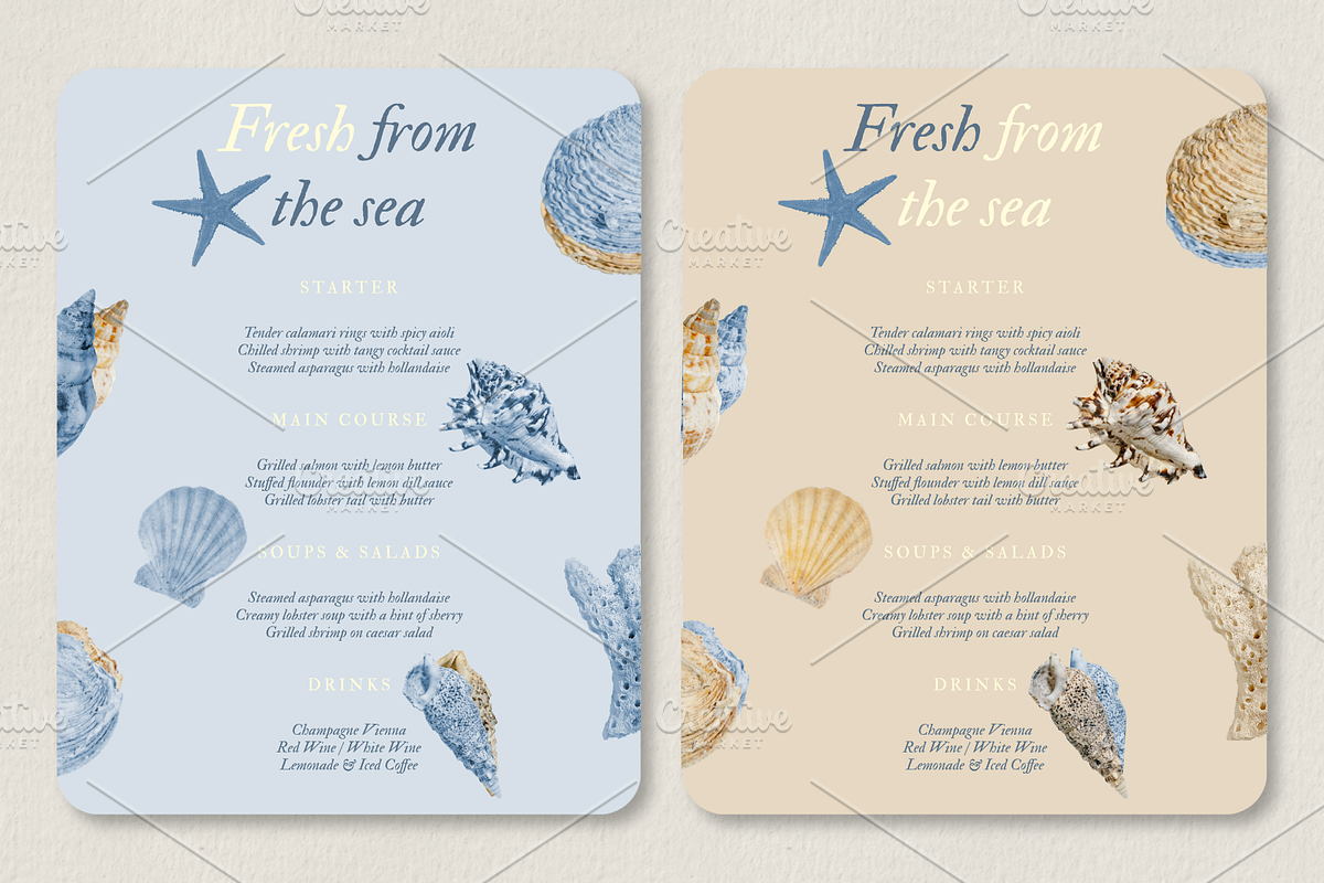 Shells of the sea, a Nature Photo by studiottander (Photo 5 of 5)