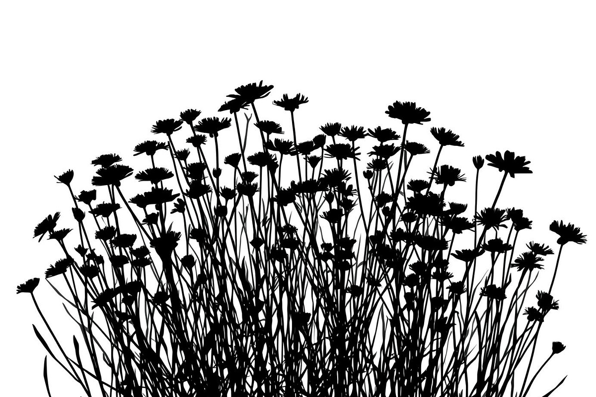Wildflower Silhouette Vector Set, an Illustration by BIPLOB EXPERT (Photo 4 of 9)