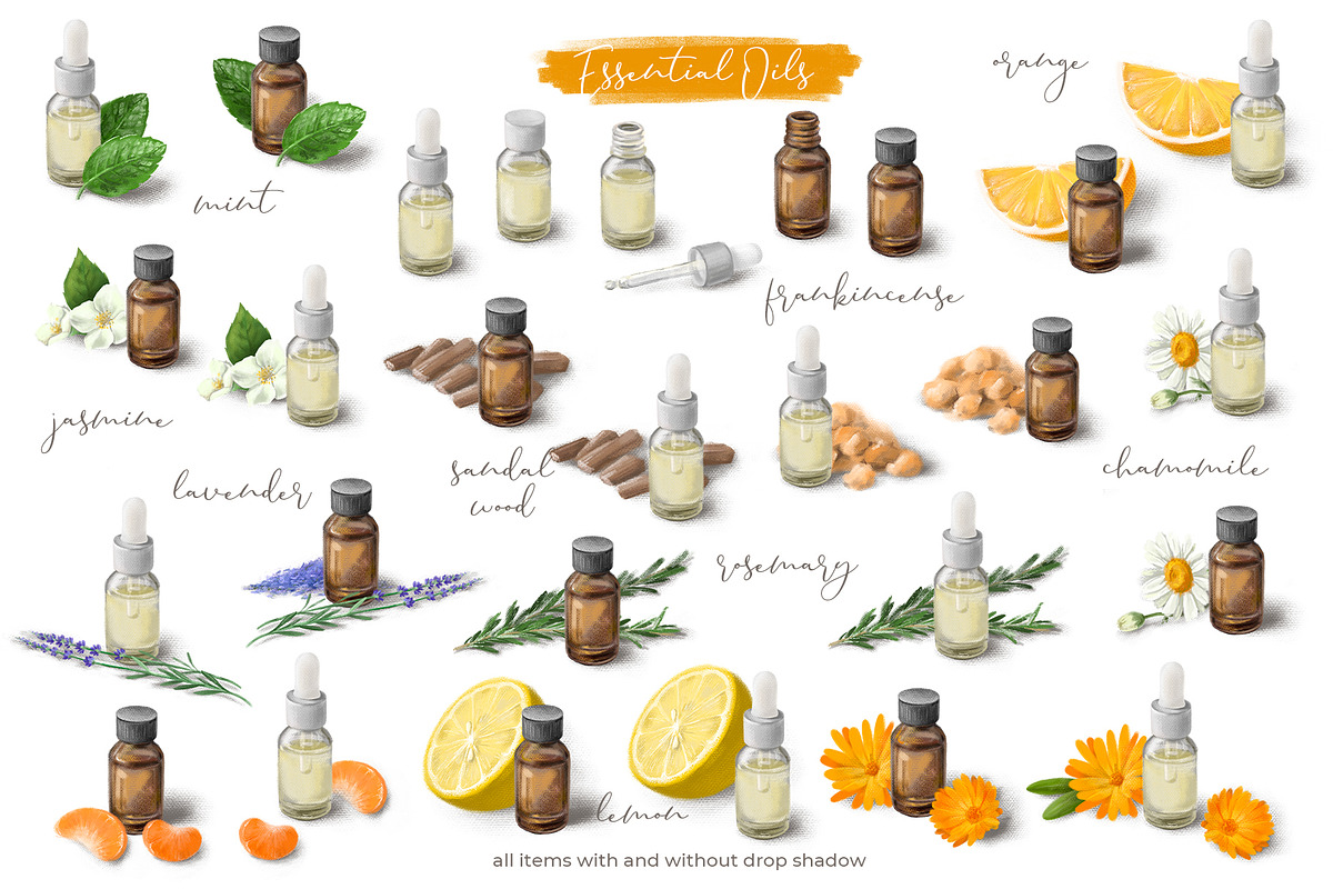Cosmetics Recipes Creator Set, an Illustration by LeiaSW (Photo 3 of 6)