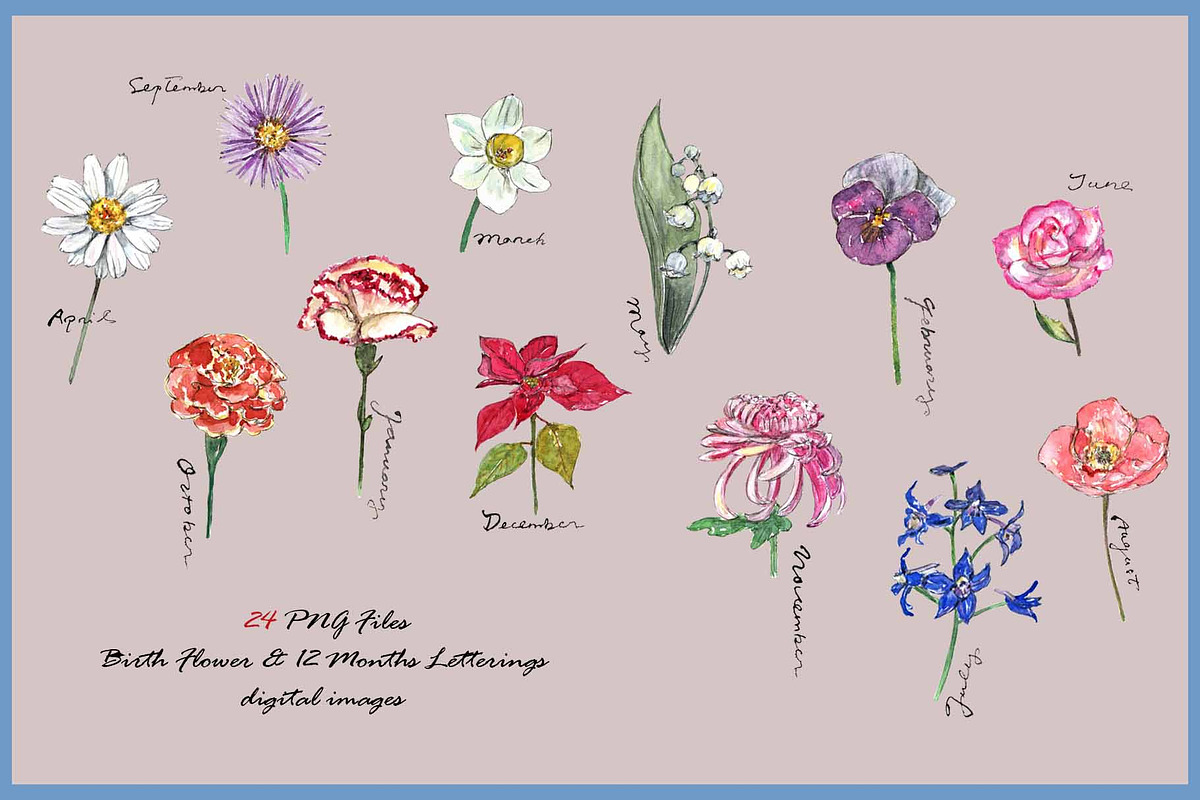 Birth Flower Clipart Digital Paper, a Decorative Illustration by VianneArt (Photo 3 of 9)