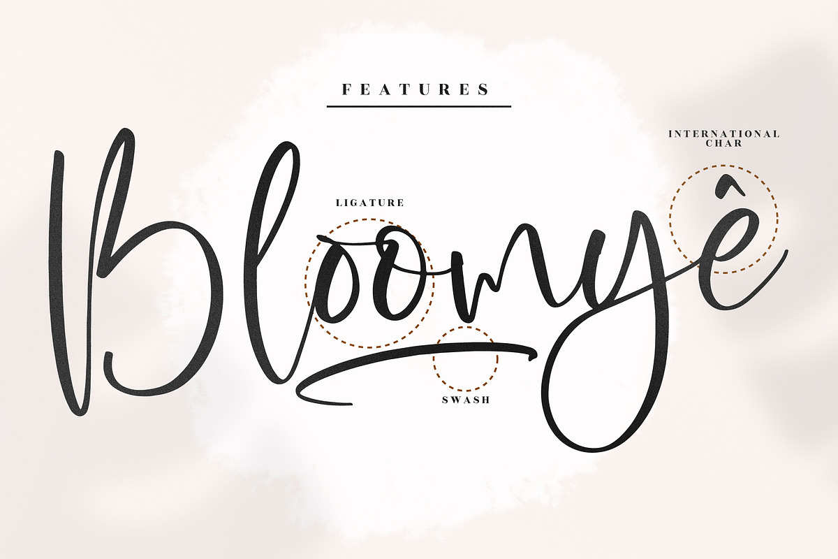 Zofia Larsonty Modern Handwritten, a Script Font by Letterena Studios Script (Photo 12 of 15)