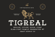 Tigreal Font Family + Illustrations, a Slab Serif Font by Craft Supply Co. (Thumbnail 1 of 8)