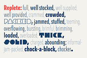 Replete Sans, a Sans Serif Font by Sudtipos (Thumbnail 2 of 14)