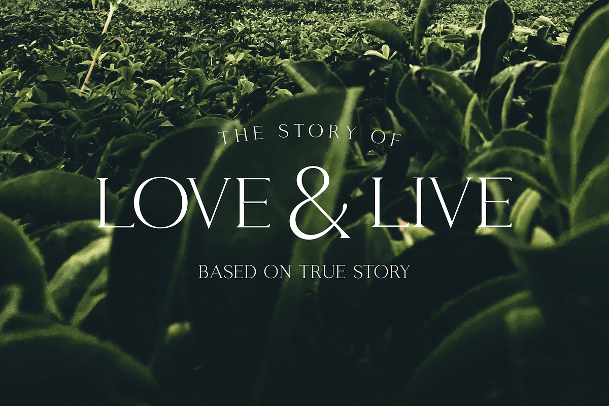 Giveaway - Classy Serif Font preview 6