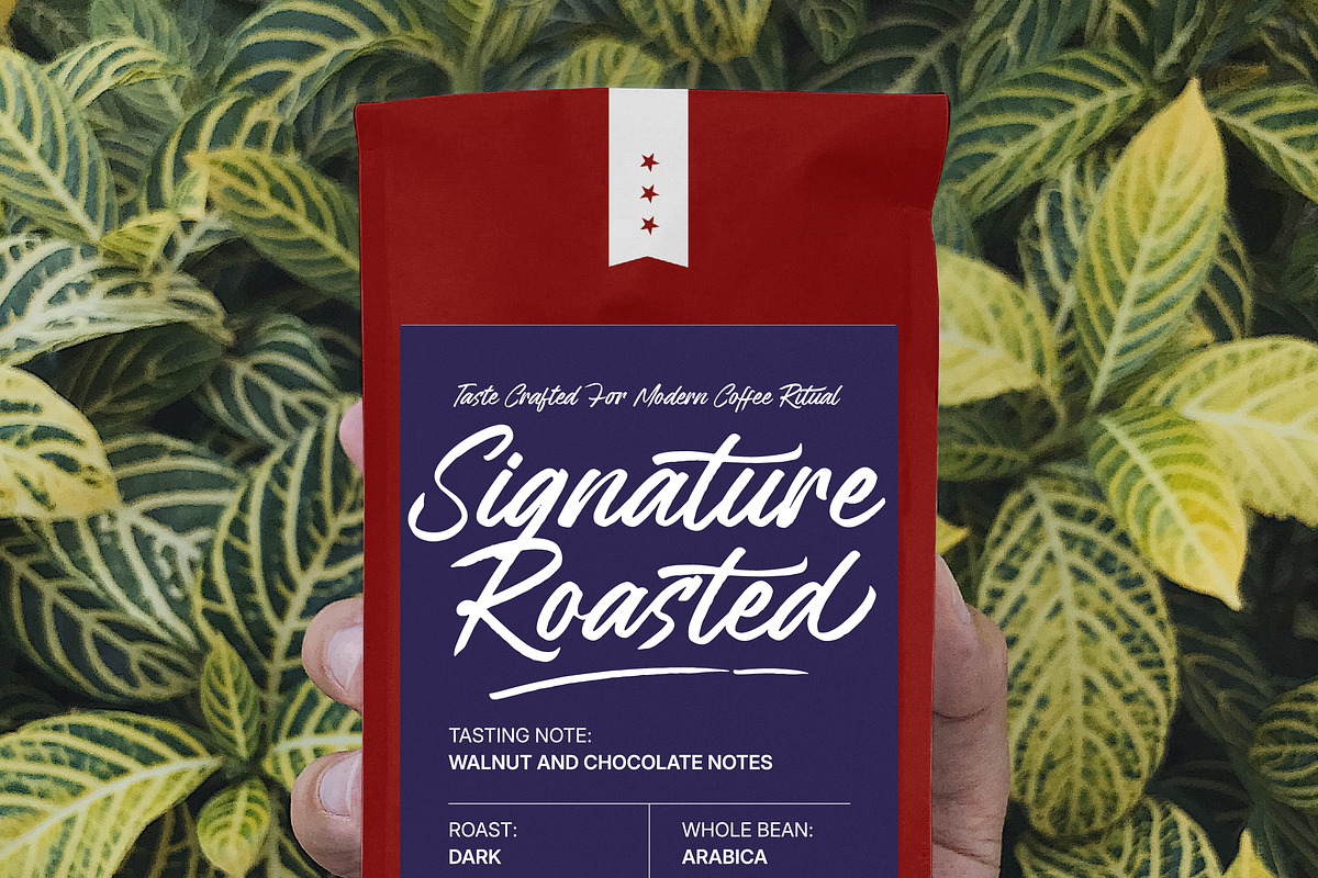 Legont Heritage Modern Brush Script, a Script Font by Letterena Studios Script (Photo 7 of 15)