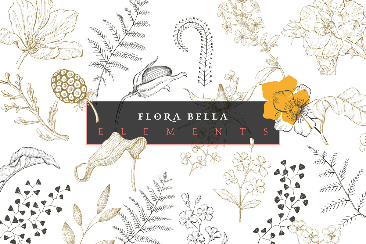 Elegant Botanical Set, an Illustration by TL Design (Photo 12 of 18)