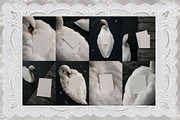Swan Nocturne Editorial Mockups, an Advertising Mockup by Muse Mockups (Thumbnail 6 of 12)