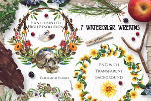 Watercolor Alchemy Medicinal Herbs