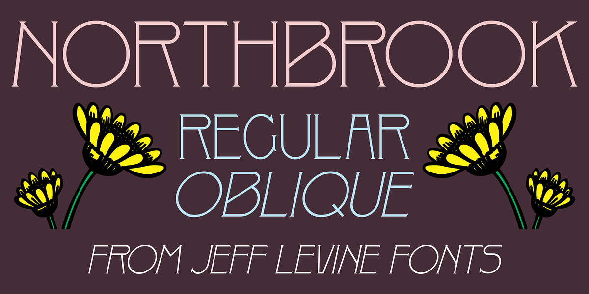 Northbrook JNL, a Serif Font by Jeff Levine Fonts (Photo 1 of 5)