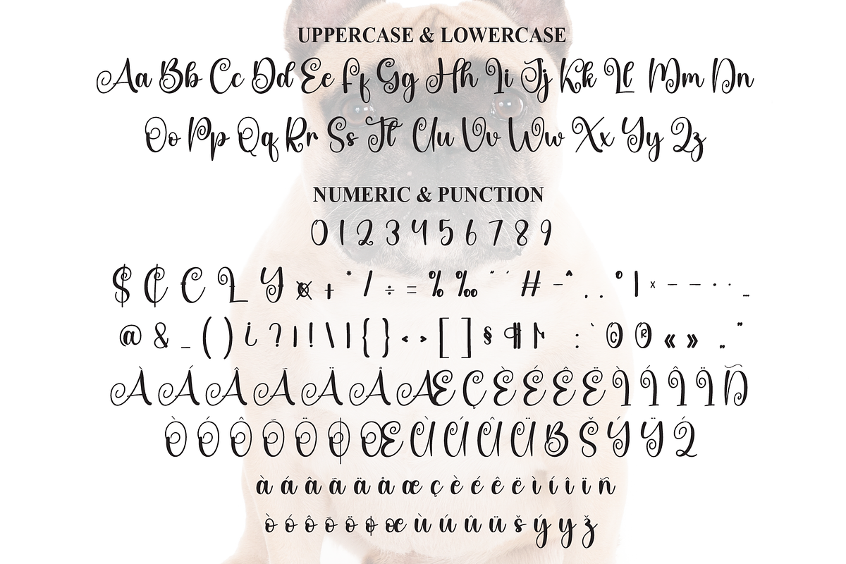 Bulldogs | Script Font, a Handwritten Font by Scratchones (Photo 7 of 9)