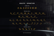 Roxite, a Serif Font by din-studio.com (Thumbnail 4 of 16)