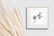Vintage Engraved Botanical Elements, an Illustration by Jennadesigns (Thumbnail 5 of 12)