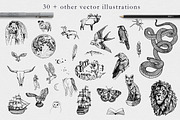 Murmurations and Other Magic, a Texture Illustration by Barn Owl Studio (Thumbnail 6 of 16)