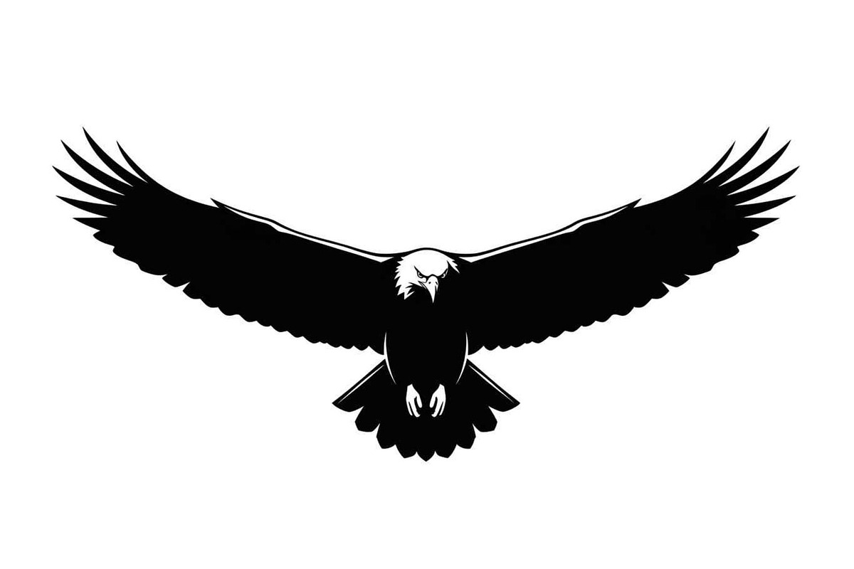 50 Flying Eagle Silhouette Vector Bu, an Illustration by Designs_River (Photo 27 of 51)