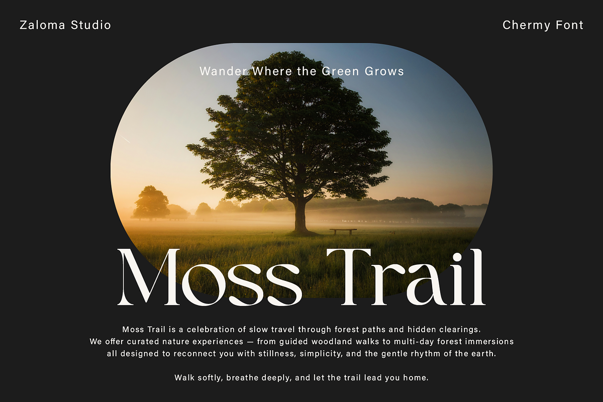 Chermy, a Serif Font by Zaloma Studio (Photo 2 of 17)