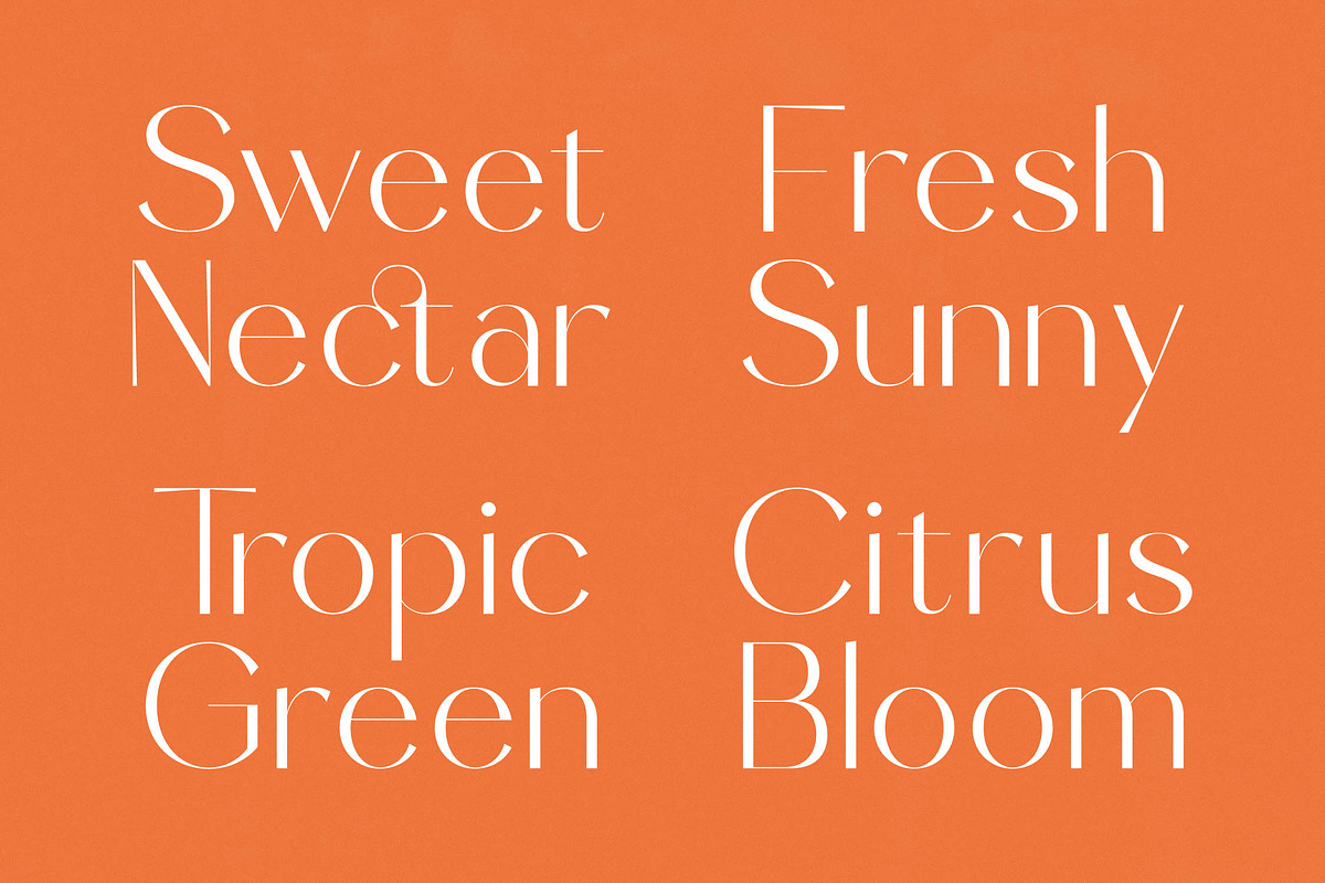 Sunveil Orange Modern Display Font, a Sans Serif Font by timelesstype.co (Photo 3 of 20)