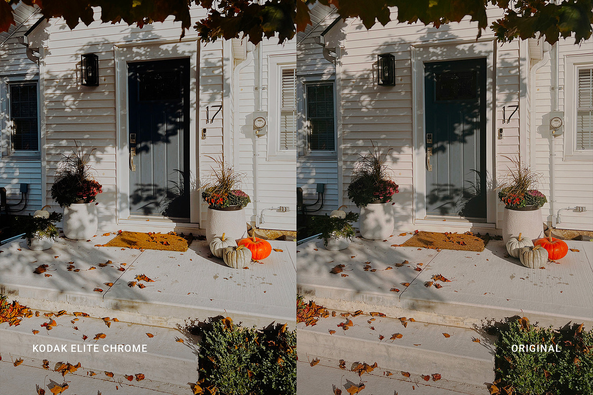Kodak Elite Chrome, a Preset Add-On by colorituals (Photo 5 of 8)
