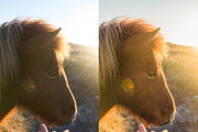 LIGHTROOM PRESETS ICELAND! travel, an Action Add-On by Graphics, Presets, Photos (Thumbnail 51 of 58)