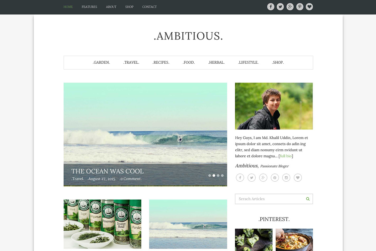 Ambitious-Multi WordPress Blog Theme, a WordPress Template by ShapedTheme