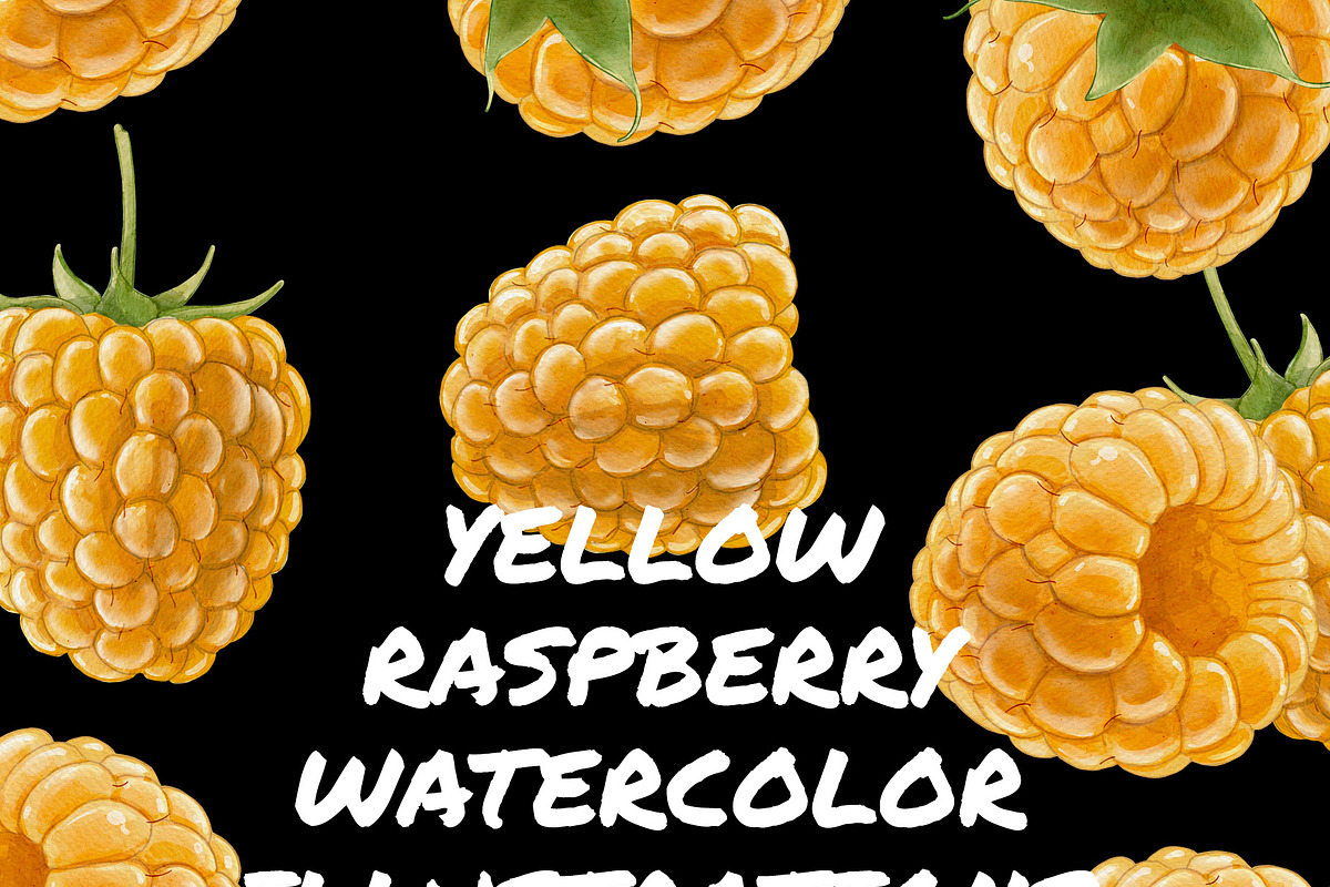 Digital Watercolor Raspberry + Bonus, a Food Illustration by wedraw (Photo 4 of 4)