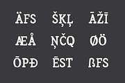 Arber Extended Vintage Font, a Font by Wild Ones (Thumbnail 3 of 17)
