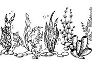Underwater life. Hand drawn sketch, a Food Illustration by made by Tanya (Thumbnail 3 of 4)