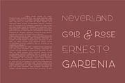 Larosa Sans Elegant Typeface, a Sans Serif Font by Kaligra.co (Thumbnail 15 of 22)