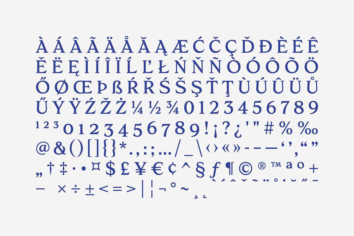 Paradisian Serif, a Serif Font by Dopestype (Photo 12 of 13)