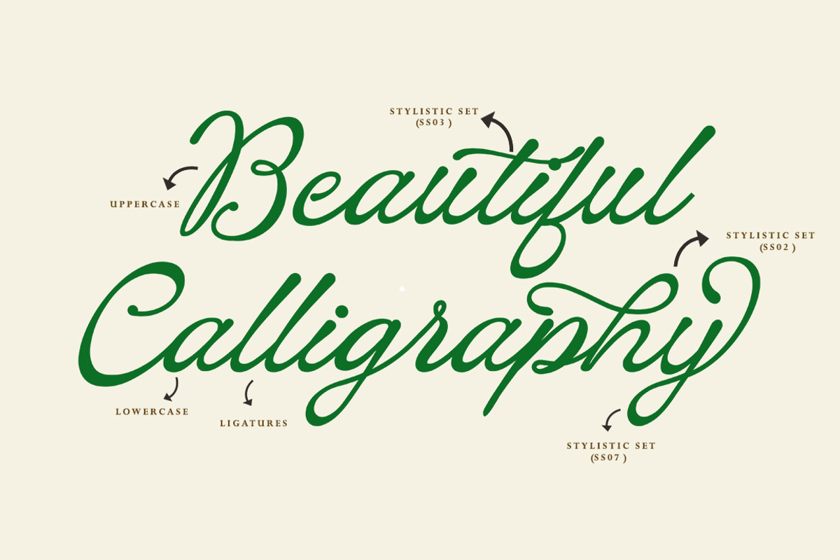 Manston, a Script Font by StudioRhd (Photo 4 of 8)
