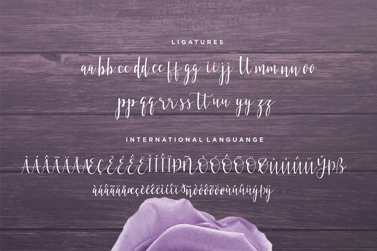 Violette Script Font, a Script Font by Sronstudio (Photo 10 of 13)