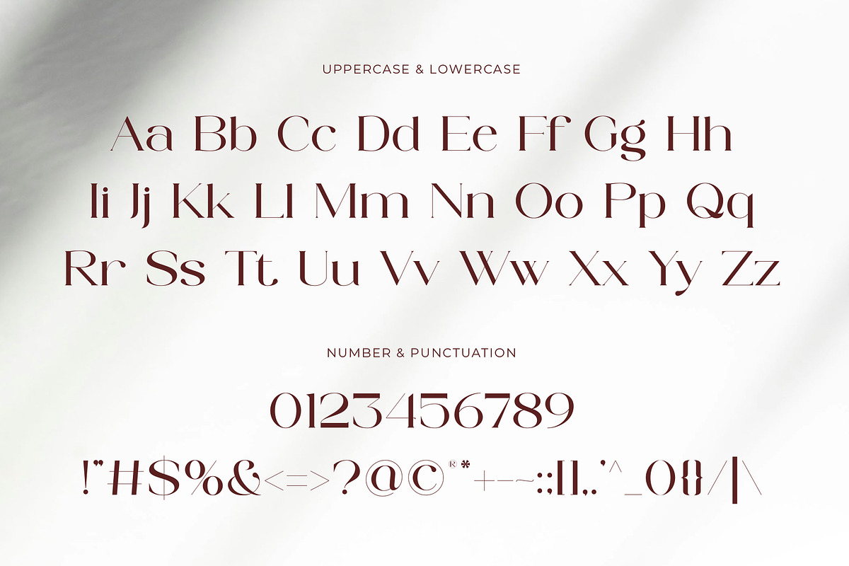 Searly - Staylish And Elegant, a Serif Font by Muflieart (Photo 9 of 10)