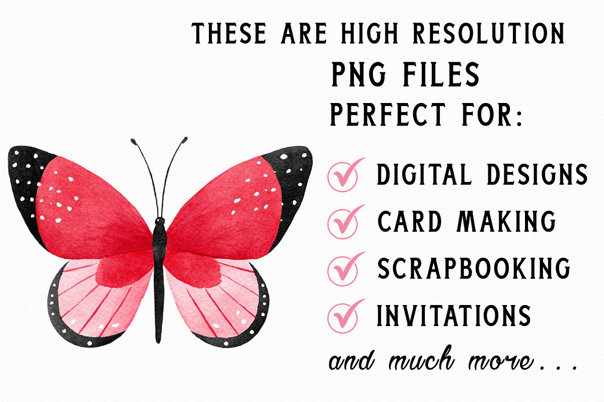 Watercolor Butterfly Clipart, an Illustration by Libby Wishes (Photo 3 of 6)