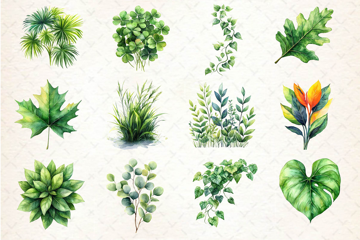Green Summer Foliage Clipart, an Illustration by Dream Creation (Photo 2 of 4)
