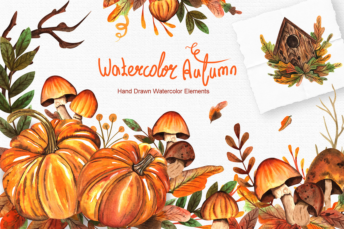Watercolor Autumn Collection, an Illustration by TanataDesign (Photo 1 of 7)
