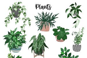 Indoor Plants, Vector Set