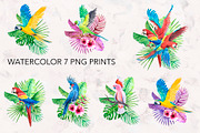 Parrots. Watercolor exotic BIRDS, an Illustration by lilisavelieva (Thumbnail 4 of 5)