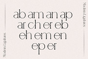 Enigma A Classy Ligatured Serif, a Serif Font by Prestige Artsy Studio (Thumbnail 5 of 10)