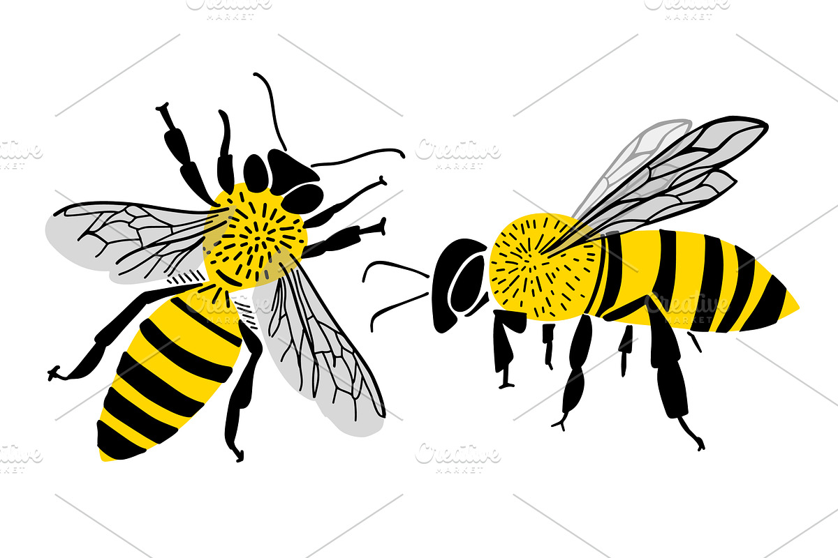 Cute Bee Vector, Bee Kids Vector, an Animal Illustration by Nenahliadava Design