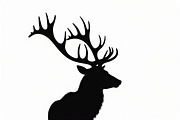 Deer Silhouette Bundle, an Illustration by Designer_Momina (Thumbnail 4 of 7)
