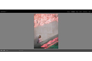 Pink Attitude Lightroom Presets, an Action Add-On by TravellersLight (Thumbnail 6 of 22)