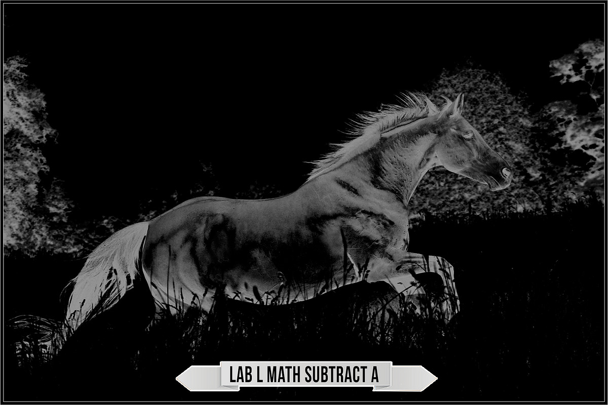 LAB Color V. 2 - Monochrome profiles, a Plug-in Add-On by Raztrend (Photo 22 of 30)