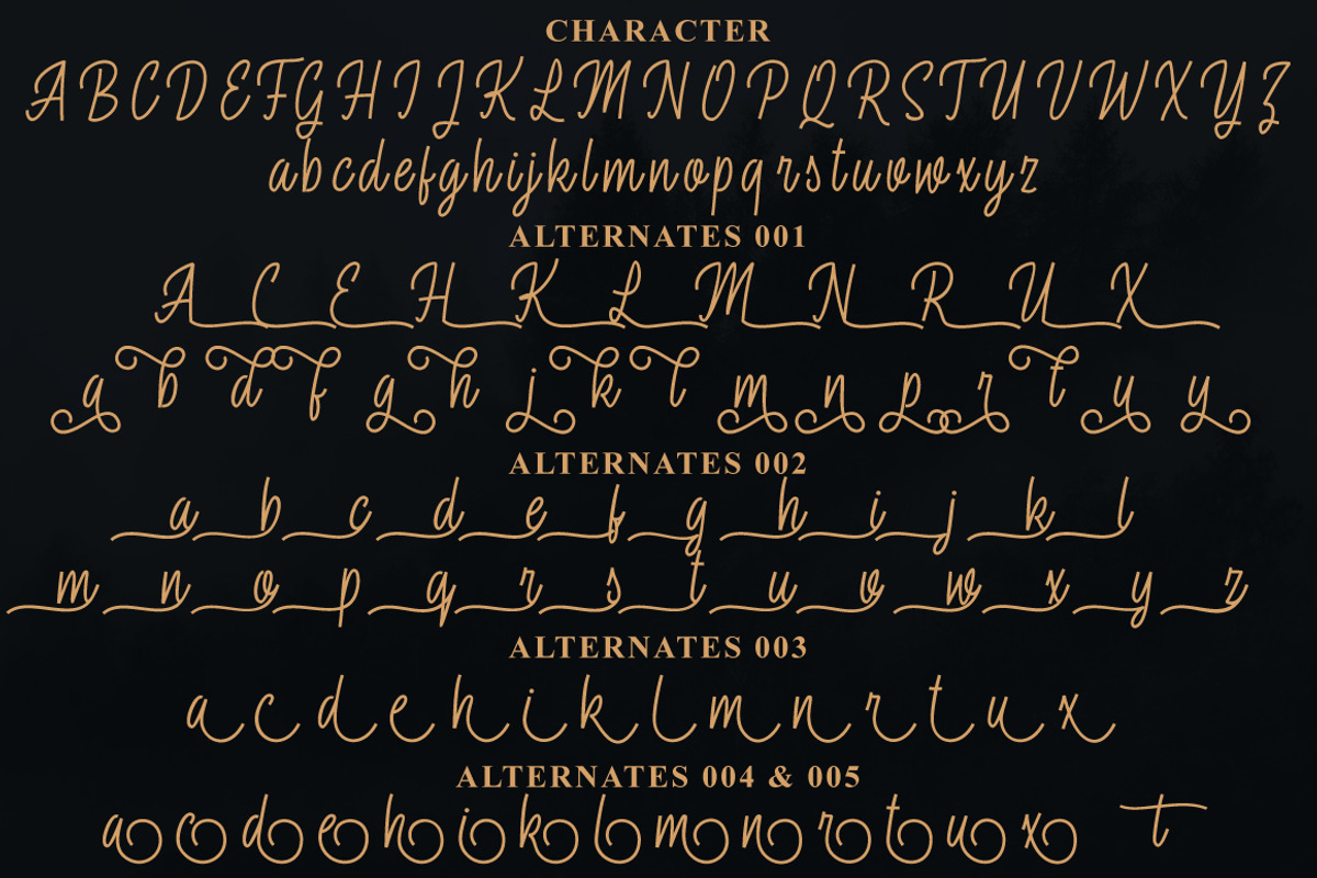 Fasterox Script, a Script Font by Amarlettering (Photo 7 of 8)